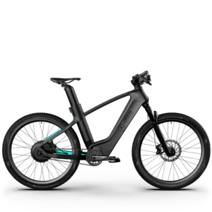 Mercedes AMG Petronas F1 Team Ralley- E2GO